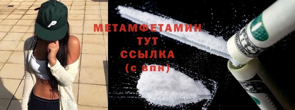 индика Инта