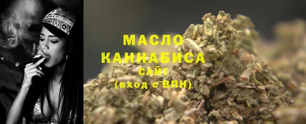 2c-b Инсар
