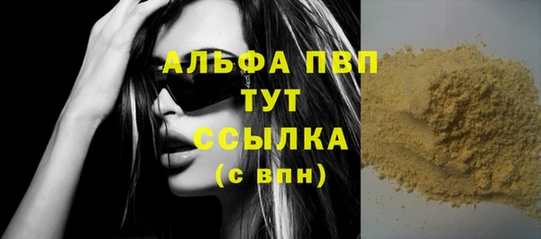 индика Инта