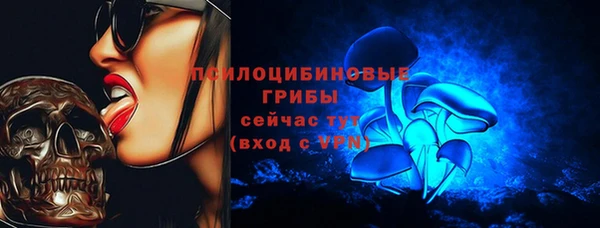 индика Инта