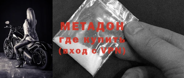индика Инта