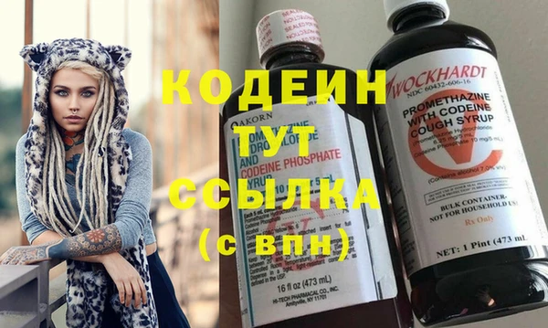 индика Инта