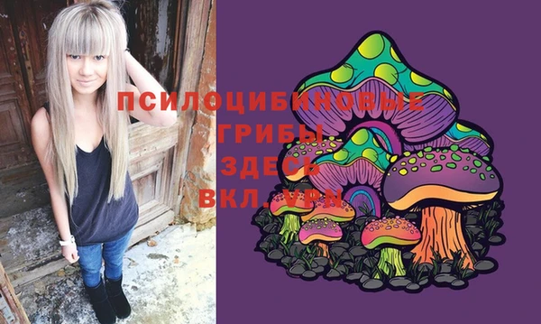 2c-b Инсар