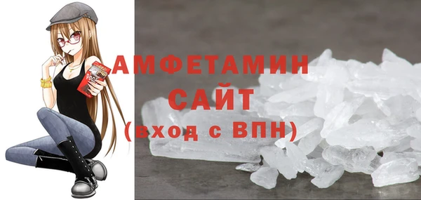 индика Инта