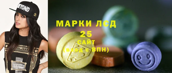 индика Инта