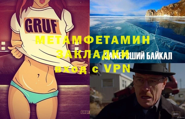 индика Инта