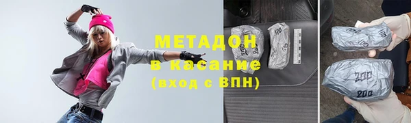индика Инта