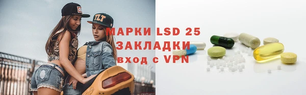 2c-b Инсар