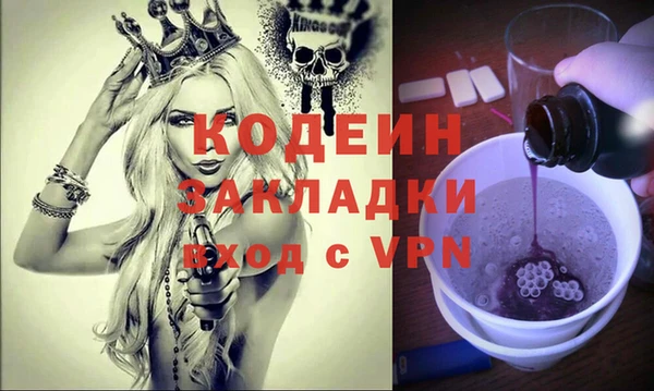 индика Инта