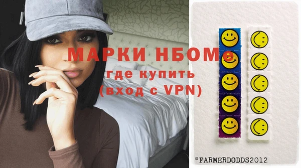 индика Инта