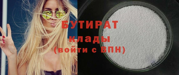 индика Инта