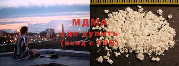индика Инта