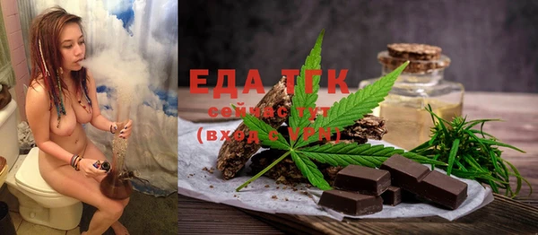 индика Инта