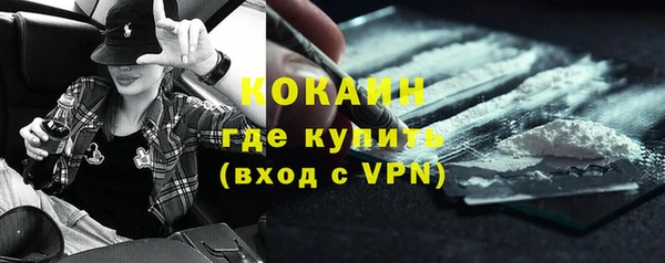 2c-b Инсар