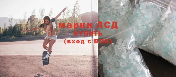 индика Инта