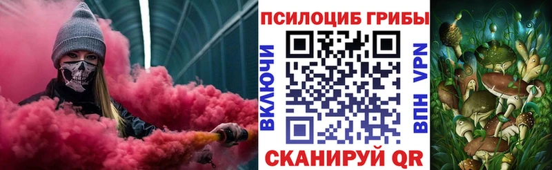 Купить где  Далматово  Псилоцибиновые грибы Cubensis 